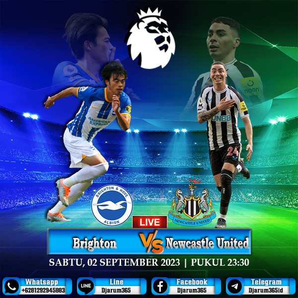 Prediksi Bola Brighton vs Newcastle United