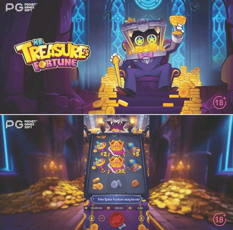 MR. TREASURE'S FORTUNE
