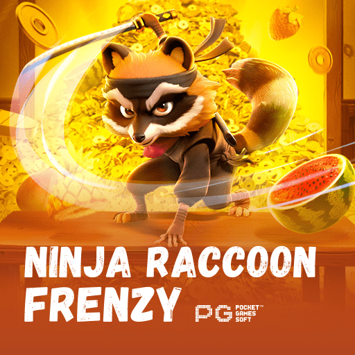 NINJA RACCOON FRENZY